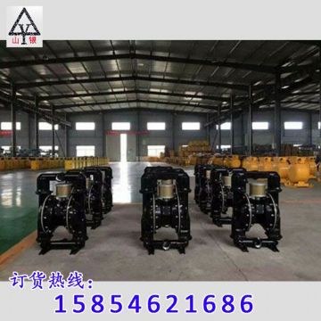 點擊查看詳細信息<br>標題：隔膜泵_氣動隔膜泵_隔膜泵價格_隔膜泵 閱讀次數：1722