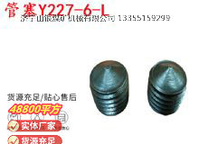 點(diǎn)擊查看詳細(xì)信息<br>標(biāo)題：英格索蘭隔膜泵配件管塞Y227-6-L 閱讀次數(shù)：170