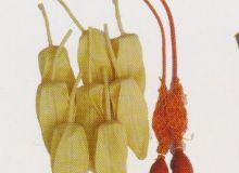 點擊查看詳細信息<br>標題：取氣樣球膽 閱讀次數：57